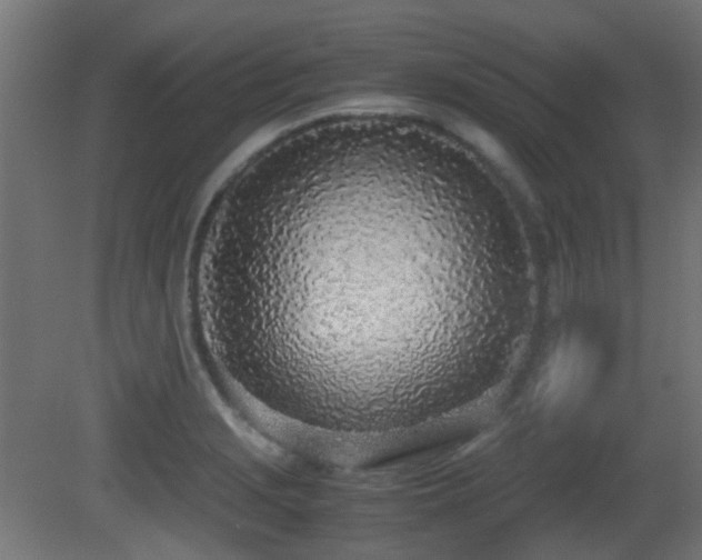 X0000081271229200701111257