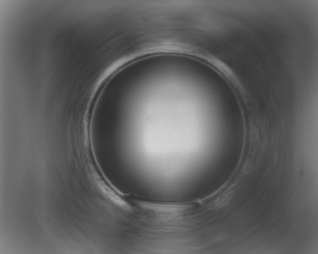 X0000081271238200701111258