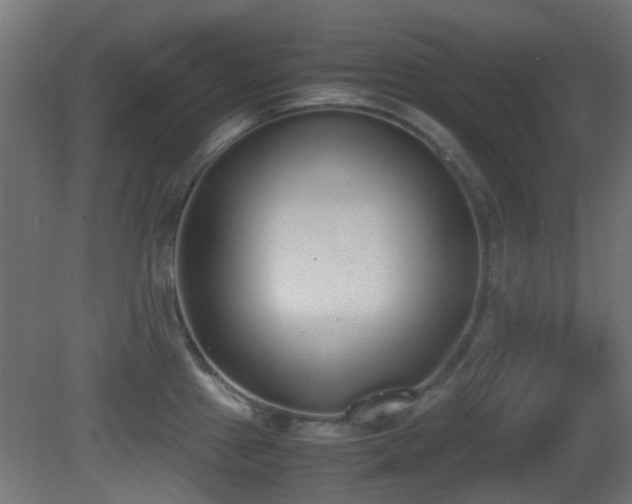 X0000081271241200701111258