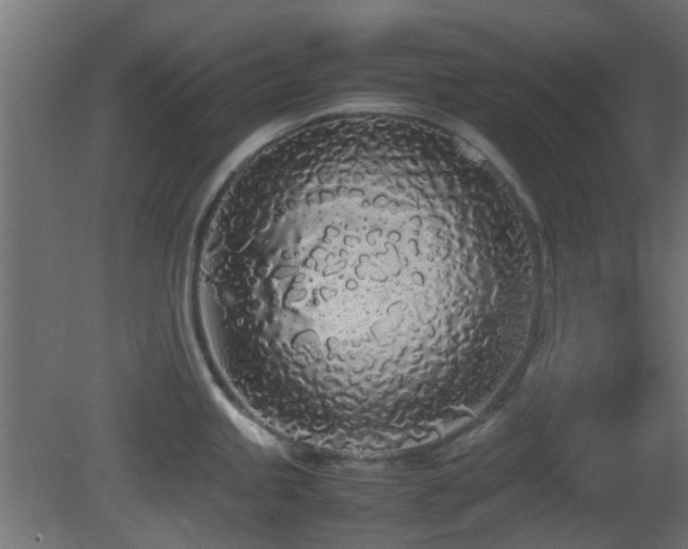 X0000081271245200701111258