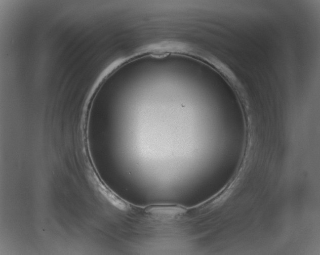 X0000081271248200701111258