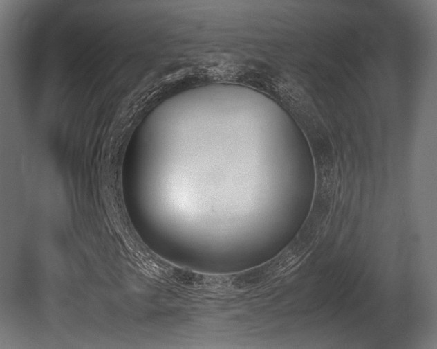 X0000081271249200701111257