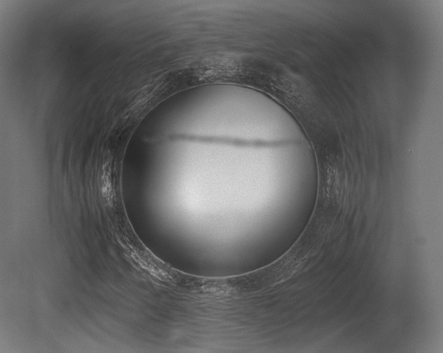 X0000081271250200701111257