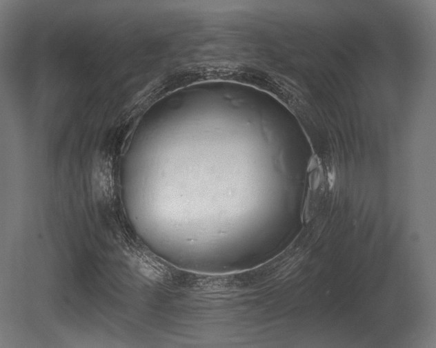 X0000081271252200701111257