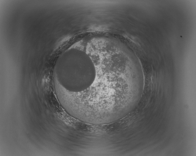 X0000081271254200701111257