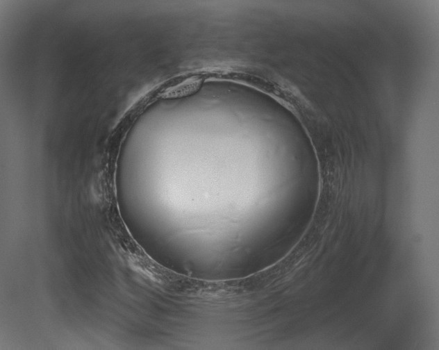 X0000081271256200701111257