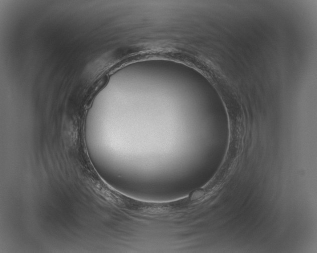 X0000081271257200701111257