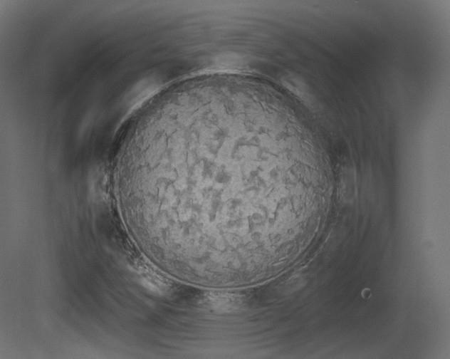 X0000081271258200701111257