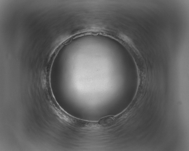 X0000081271260200701111257