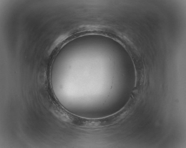 X0000081271261200701111257