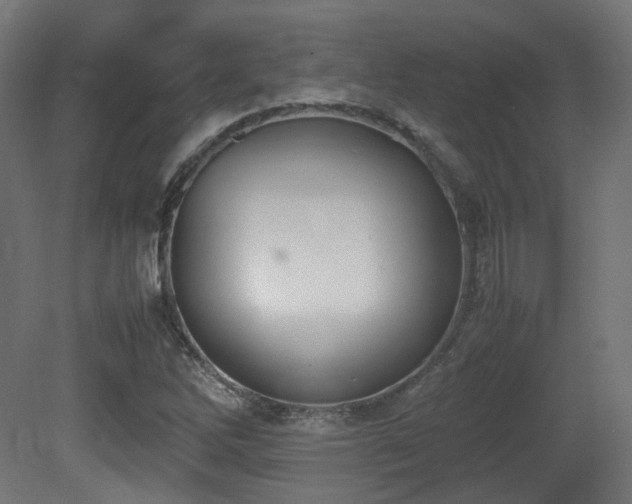 X0000081271262200701111257