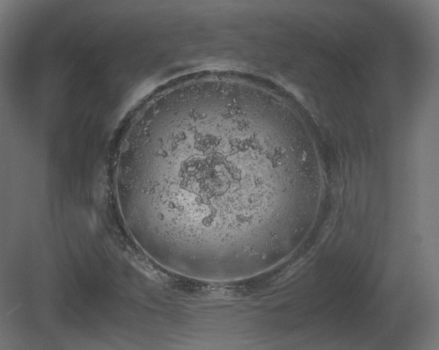 X0000081271263200701111257