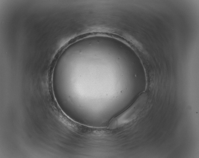 X0000081271264200701111257