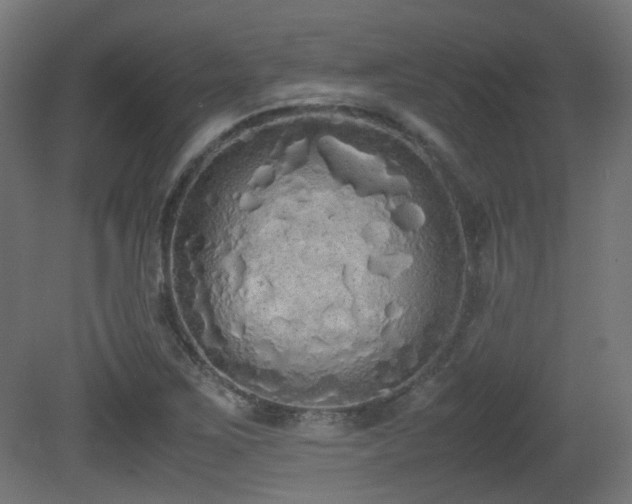 X0000081271267200701111257