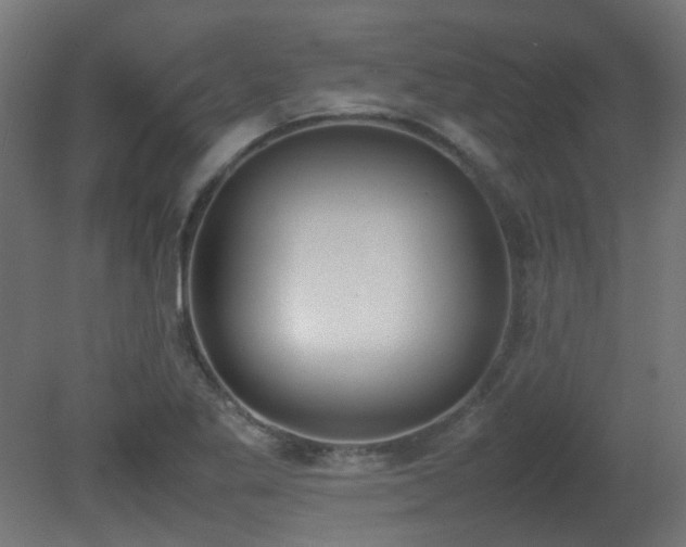 X0000081271269200701111257