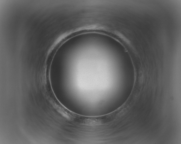 X0000081271270200701111257