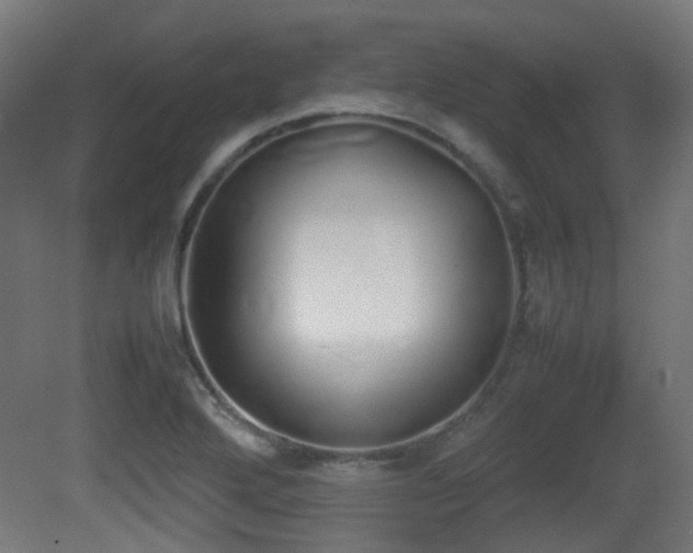 X0000081271272200701111257