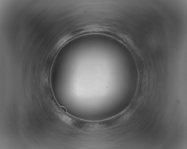 X0000081271273200701111257