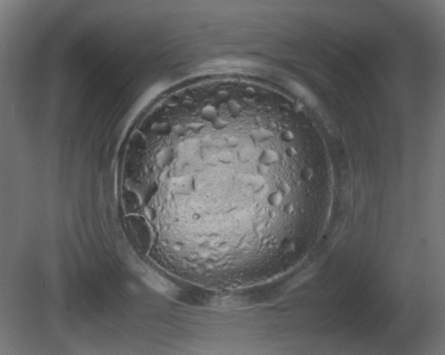 X0000081271275200701111257