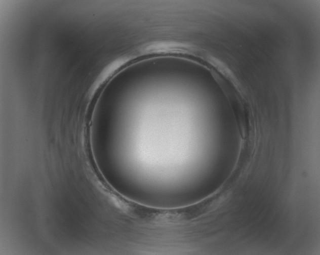 X0000081271277200701111256