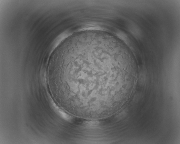 X0000081271282200701111256