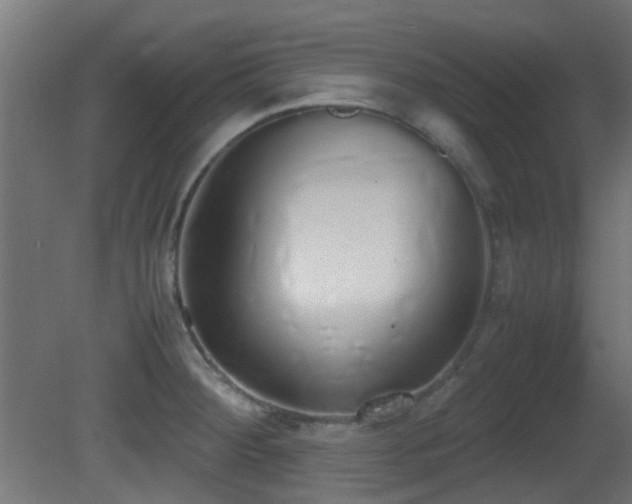 X0000081271284200701111256