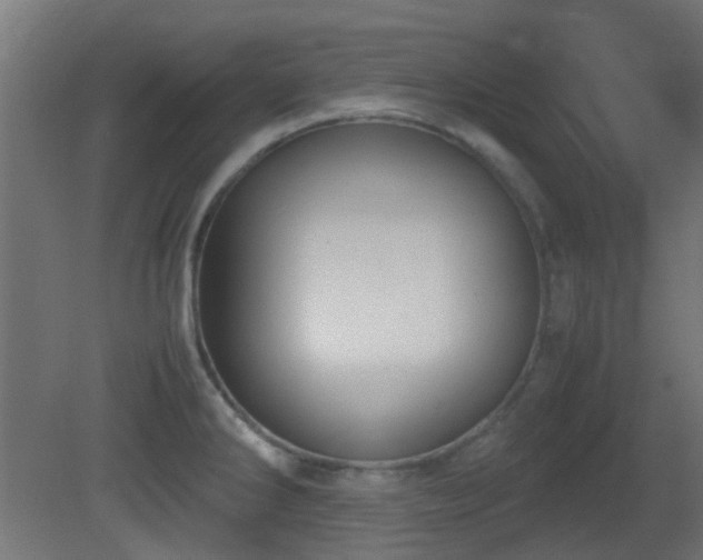 X0000081271286200701111256