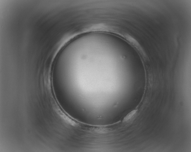 X0000081271288200701111256
