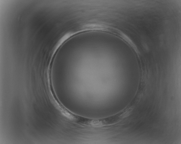 X0000081271291200701111256