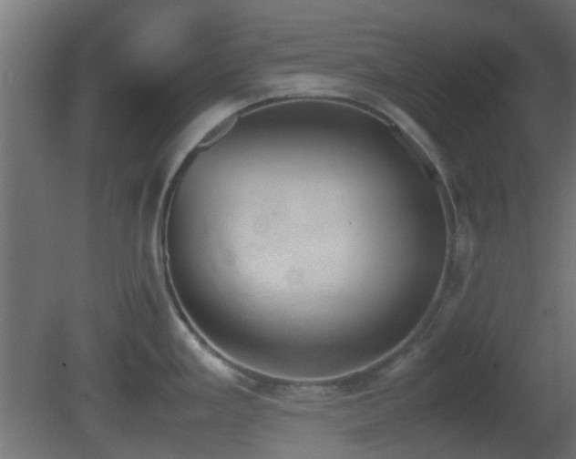 X0000081271293200701111256