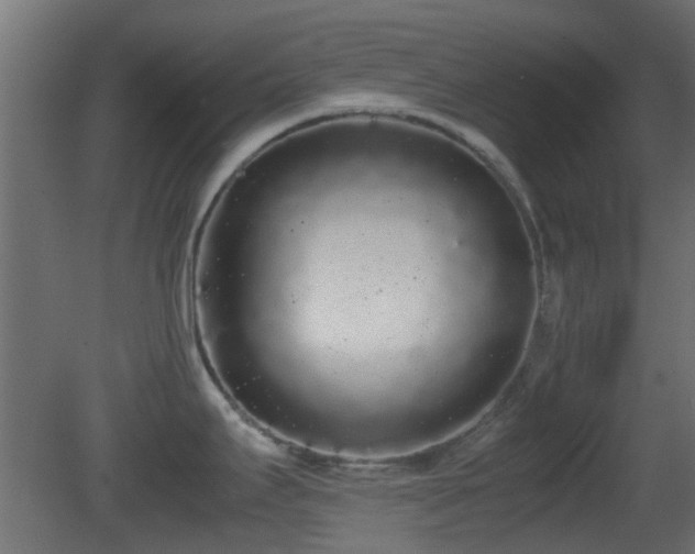 X0000081271295200701111256