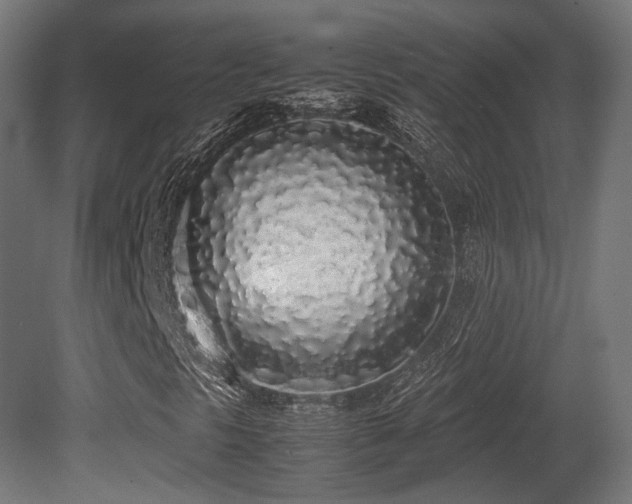 X0000081271297200701111255