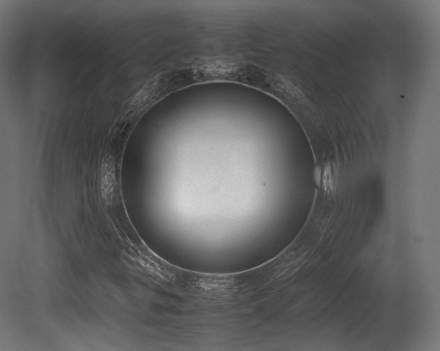 X0000081271299200701111255