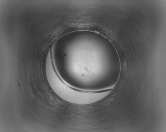 X0000081271300200701111255