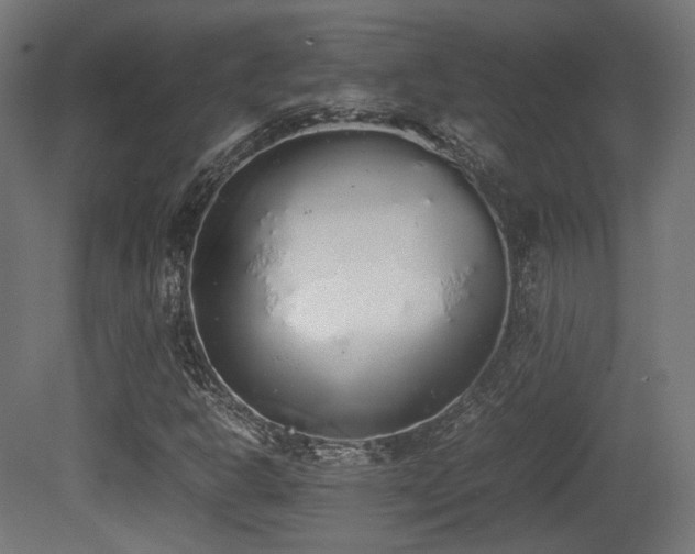 X0000081271302200701111255