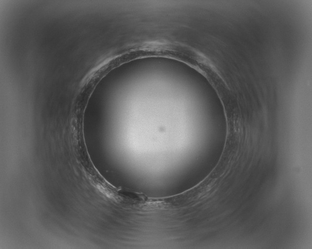 X0000081271304200701111255