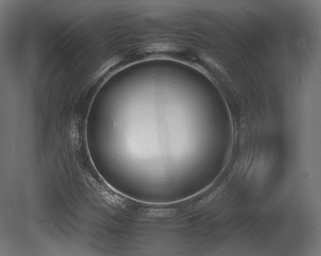 X0000081271305200701111255