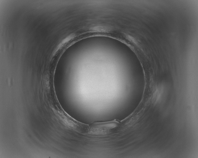 X0000081271307200701111256