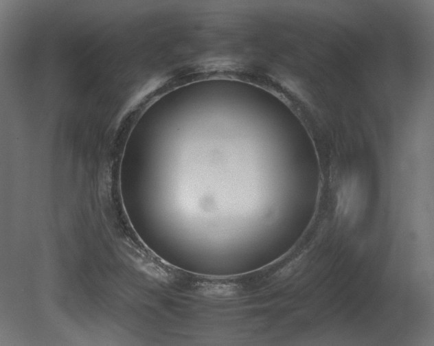 X0000081271309200701111256