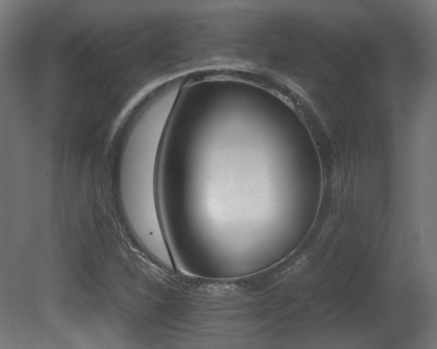 X0000081271310200701111256