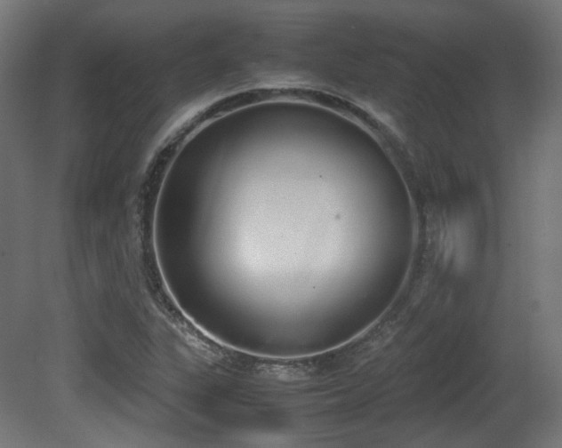 X0000081271311200701111256