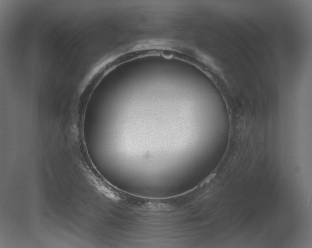 X0000081271312200701111256