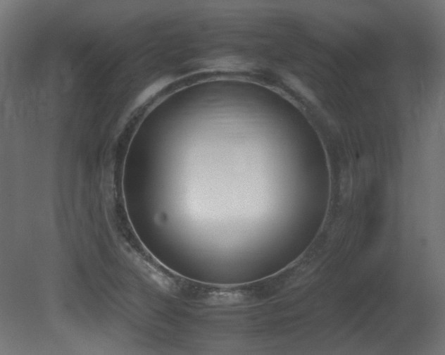 X0000081271315200701111256