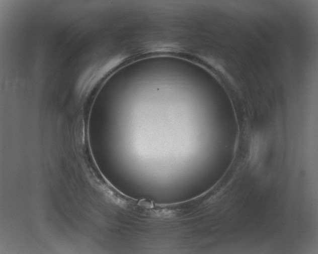 X0000081271317200701111256