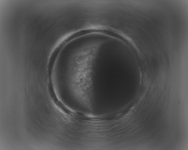 X0000081271319200701111256