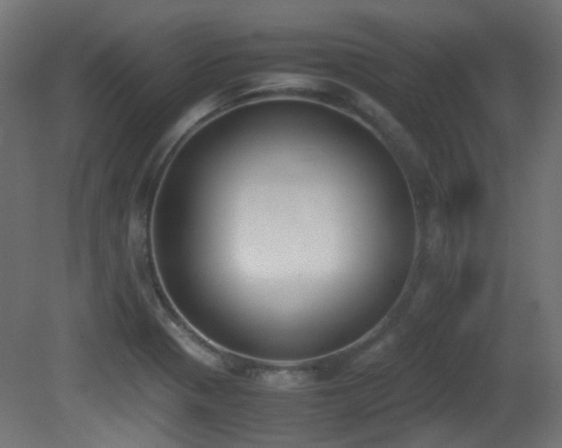 X0000081271321200701111256