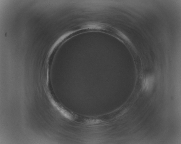 X0000081271323200701111256