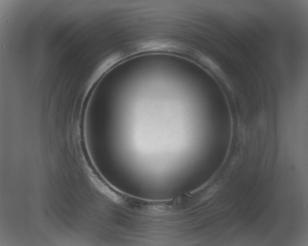 X0000081271330200701111256