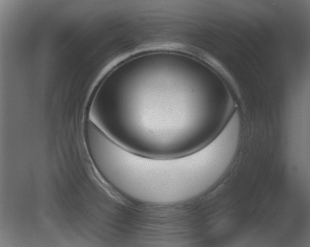 X0000081271332200701111256