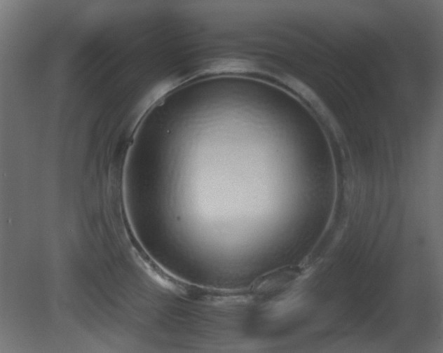 X0000081271337200701111256